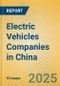 Electric Vehicles Companies in China - Product Image