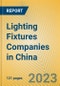 Lighting Fixtures Companies in China - Product Image