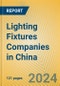 Lighting Fixtures Companies in China - Product Thumbnail Image