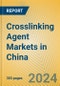 Crosslinking Agent Markets in China - Product Thumbnail Image