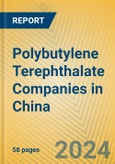 Polybutylene Terephthalate Companies in China- Product Image