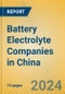 Battery Electrolyte Companies in China - Product Thumbnail Image