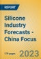 Silicone Industry Forecasts - China Focus - Product Image