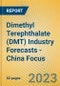 Dimethyl Terephthalate (DMT) Industry Forecasts - China Focus - Product Image