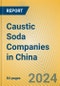 Caustic Soda Companies in China - Product Thumbnail Image