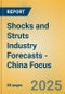 Shocks and Struts Industry Forecasts - China Focus - Product Image