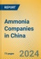 Ammonia Companies in China - Product Image