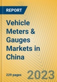 Vehicle Meters & Gauges Markets in China- Product Image