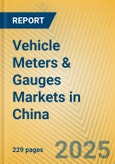 Vehicle Meters & Gauges Markets in China- Product Image