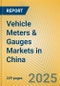 Vehicle Meters & Gauges Markets in China - Product Thumbnail Image