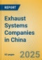 Exhaust Systems Companies in China - Product Image