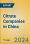 Citrate Companies in China - Product Thumbnail Image