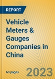Vehicle Meters & Gauges Companies in China- Product Image