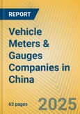 Vehicle Meters & Gauges Companies in China- Product Image