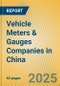 Vehicle Meters & Gauges Companies in China - Product Image