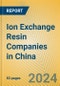 Ion Exchange Resin Companies in China - Product Thumbnail Image