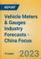 Vehicle Meters & Gauges Industry Forecasts - China Focus - Product Thumbnail Image