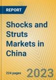 Shocks and Struts Markets in China- Product Image