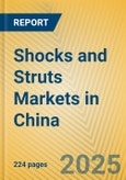 Shocks and Struts Markets in China- Product Image