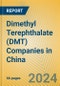 Dimethyl Terephthalate (DMT) Companies in China - Product Thumbnail Image