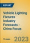 Vehicle Lighting Fixtures Industry Forecasts - China Focus - Product Image