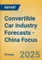 Convertible Car Industry Forecasts - China Focus - Product Image