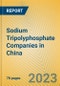 Sodium Tripolyphosphate Companies in China - Product Image