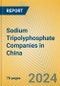 Sodium Tripolyphosphate Companies in China - Product Image