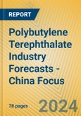 Polybutylene Terephthalate Industry Forecasts - China Focus- Product Image