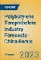 Polybutylene Terephthalate Industry Forecasts - China Focus - Product Image
