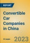 Convertible Car Companies in China - Product Image