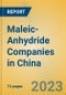 Maleic-Anhydride Companies in China - Product Image