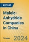 Maleic-Anhydride Companies in China - Product Image