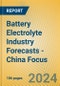 Battery Electrolyte Industry Forecasts - China Focus - Product Thumbnail Image