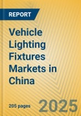 Vehicle Lighting Fixtures Markets in China- Product Image