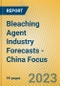 Bleaching Agent Industry Forecasts - China Focus - Product Image