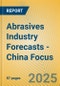 Abrasives Industry Forecasts - China Focus - Product Thumbnail Image