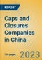 Caps and Closures Companies in China - Product Thumbnail Image