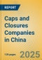 Caps and Closures Companies in China - Product Thumbnail Image