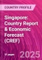 Singapore: Country Report & Economic Forecast (CREF) - Product Thumbnail Image