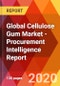 Global Cellulose Gum Market - Procurement Intelligence Report - Product Thumbnail Image