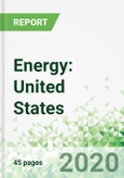 Energy: United States Forecasts to 2024- Product Image