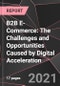 B2B E-Commerce: The Challenges and Opportunities Caused by Digital Acceleration - Product Thumbnail Image