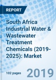 South Africa Industrial Water & Wastewater Treatment Chemicals (2019-2025): Market Forecast by Chemical Types, by Applications, by Regions, and Competitive Landscape- Product Image
