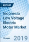 Indonesia Low Voltage Electric Motor Market (2019-2025): Market Forecast By Type, By Products, By Applications - Product Thumbnail Image