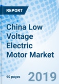 China Low Voltage Electric Motor Market (2019-2025): Market Forecast by Type, by Products, by Applications, and Competitive Landscape- Product Image