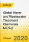 Global Water and Wastewater Treatment Chemicals Market: Focus on Type and End Users (Municipal, Power Generation, Oil & Gas, Paper & Pulp, Mining, Food & Beverage, Chemicals, and Others) - Analysis and Forecast, 2019-2029 - Product Thumbnail Image