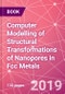 Computer Modelling of Structural Transformations of Nanopores in Fcc Metals - Product Thumbnail Image