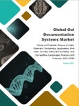 Global Gel Documentation Systems Market: Focus on Products, Source of Light, Detection Technology, Application, End User, Country Data (16 Countries), and Competitive Landscape - Analysis and Forecast, 2021-2030- Product Image