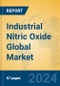 Industrial Nitric Oxide Global Market Insights 2024, Analysis and Forecast to 2029, by Manufacturers, Regions, Technology, Application - Product Thumbnail Image